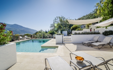 Vida al aire libre en la zona de la piscina
